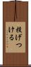 投げつける Scroll