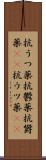 抗うつ薬 Scroll