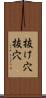 抜け穴 Scroll