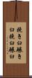 挽き臼 Scroll