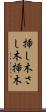 挿し木 Scroll