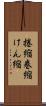 捲縮 Scroll