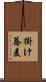 掛け蕎麦 Scroll
