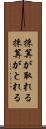 採算が取れる Scroll