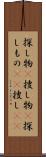 探し物(P) Scroll