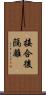 接合後隔離 Scroll