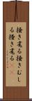 掻き毟る Scroll