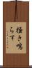 掻き鳴らす Scroll