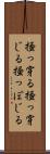 掻っ穿る Scroll