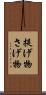 提げ物 Scroll