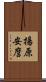 揚原安麿 Scroll
