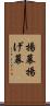 揚幕 Scroll