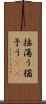 揺蕩う Scroll