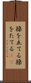 操を立てる Scroll