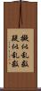擬似乱数 Scroll