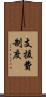 支援費制度 Scroll