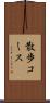 散歩コース Scroll