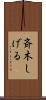 斉木しげる Scroll