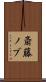 斎藤ノブ Scroll