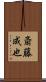 斎藤成也 Scroll