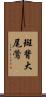 斑背大尾鶯 Scroll