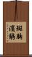 斑胸濱鷸 Scroll