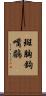 斑胸鉤嘴鶥 Scroll