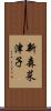 新森菜津子 Scroll