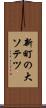 新町の大ソテツ Scroll
