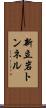 新立岩トンネル Scroll