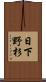 日下野杉 Scroll