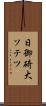 日御碕大ソテツ Scroll