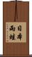日本雨蛙 Scroll