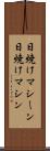 日焼けマシーン Scroll