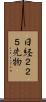 日経２２５先物 Scroll