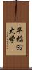 早稲田大学 Scroll