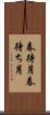 春待月 Scroll