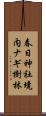 春日神社境内ナギ樹林 Scroll