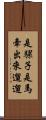 是騾子是馬，牽出來遛遛 Scroll