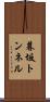 暮坂トンネル Scroll
