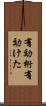 有効桁 Scroll