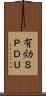 有効ＳＰＤＵ Scroll