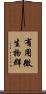 有用微生物群 Scroll