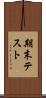 期末テスト Scroll