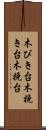 木びき台 Scroll