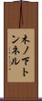 木ノ下トンネル Scroll