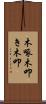 木啄 Scroll