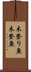 木登り魚 Scroll