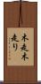 木走 Scroll