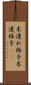 木連れ格子 Scroll